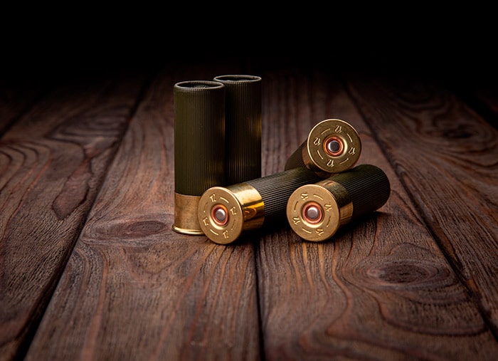 Гладкоствольные